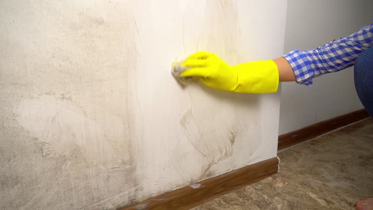 Best Commercial Mold Inspection  in Fairmont City, IL